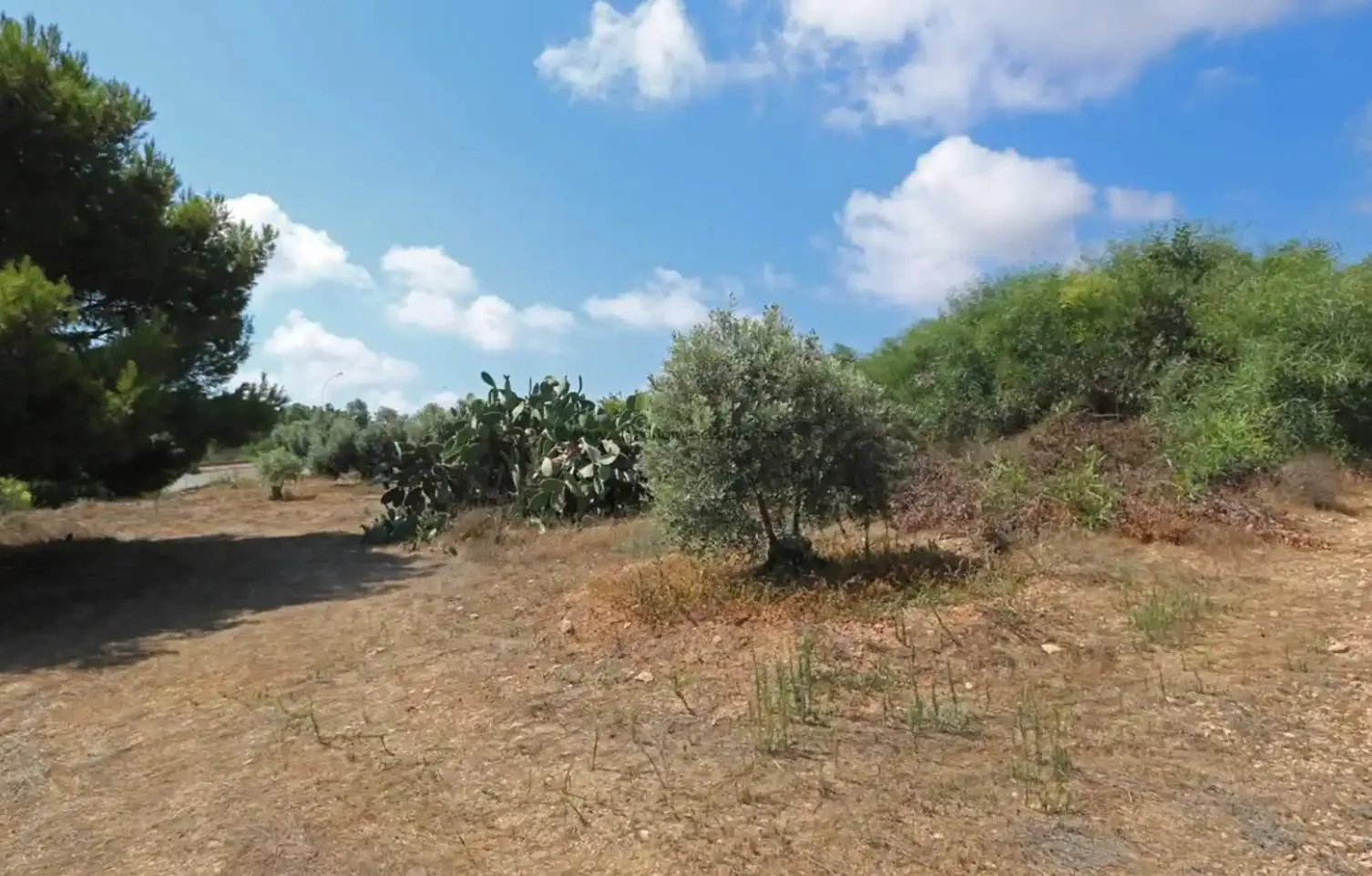 Land in Famagusta № 205299 1