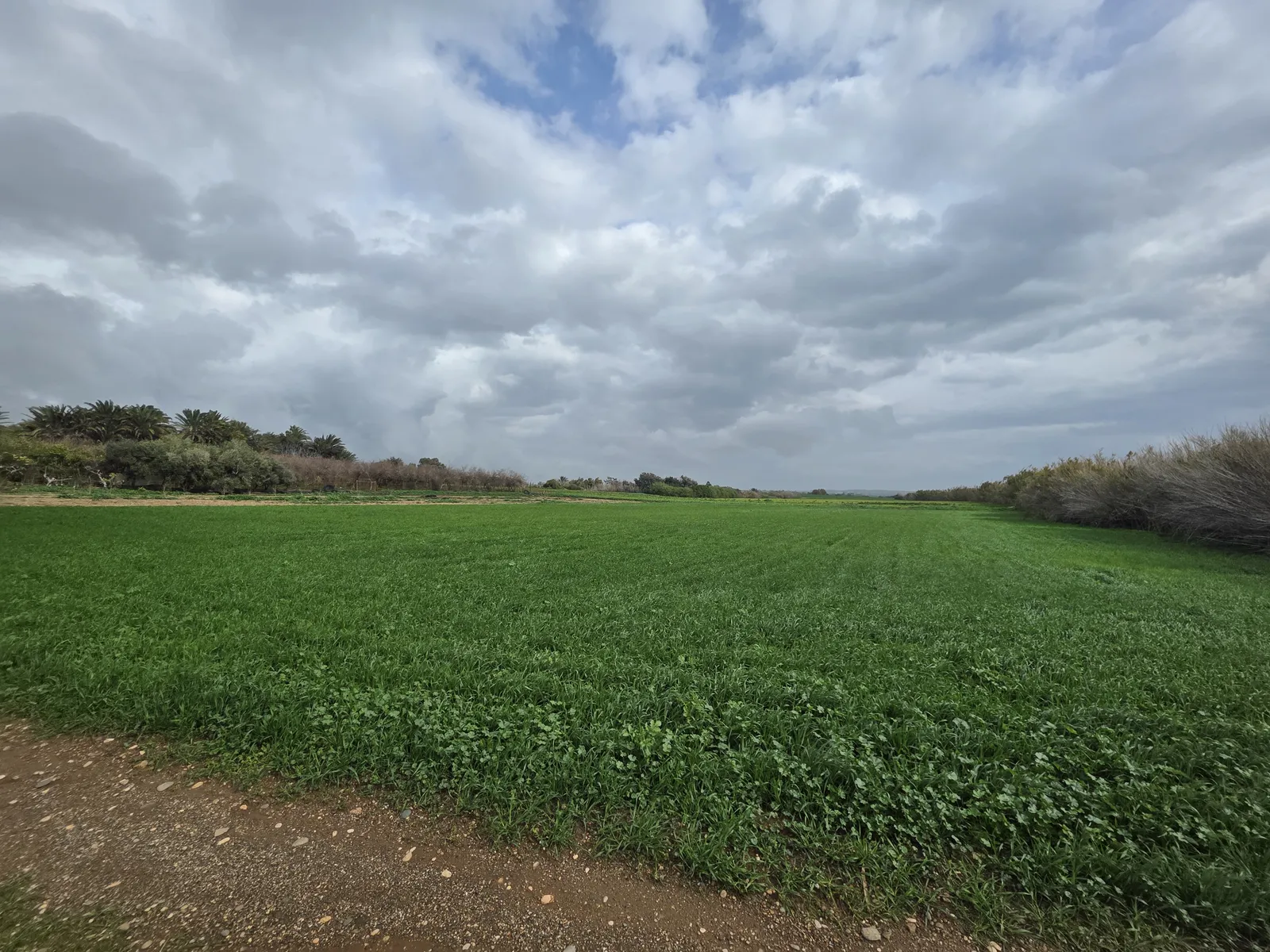Land in Larnaca № 206174 1