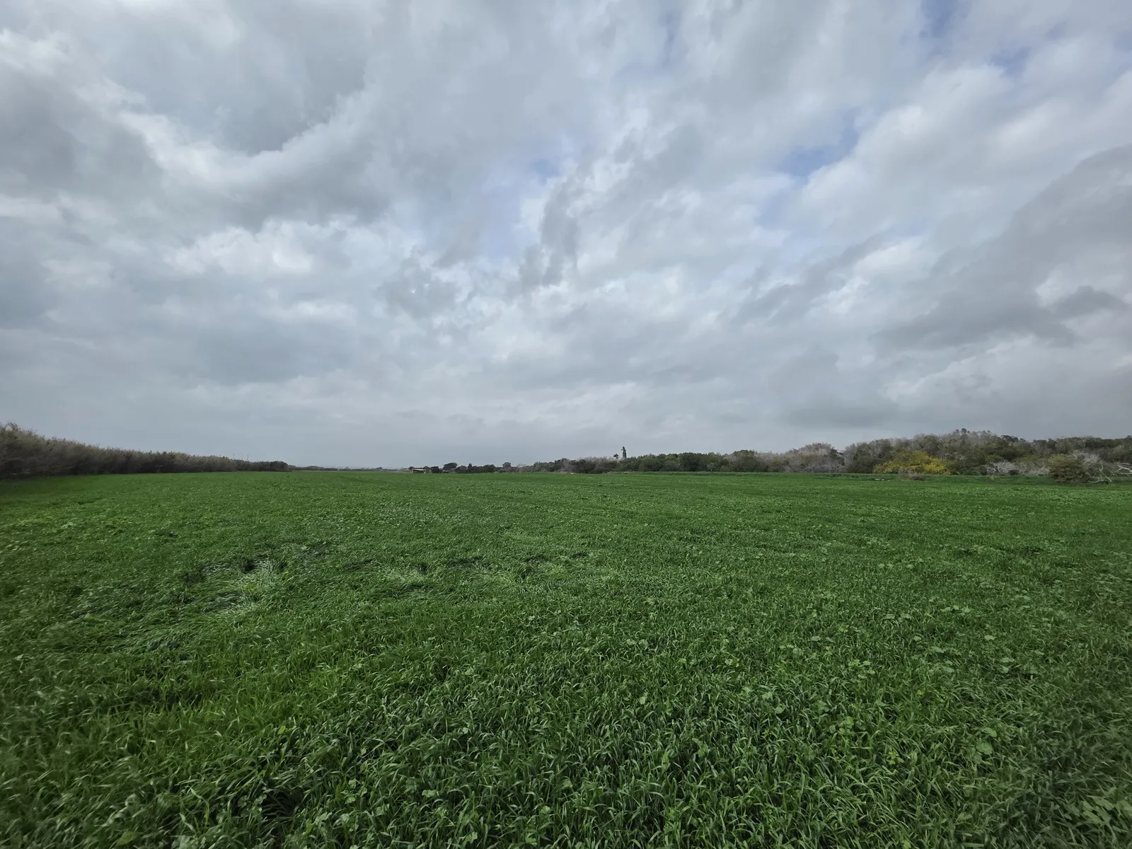Land in Larnaca № 206174 3