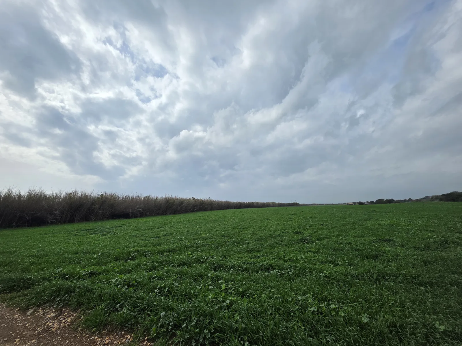Land in Larnaca № 206175 1