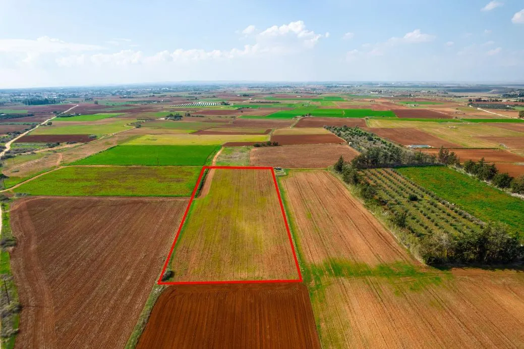 Land in Famagusta № 207640 1