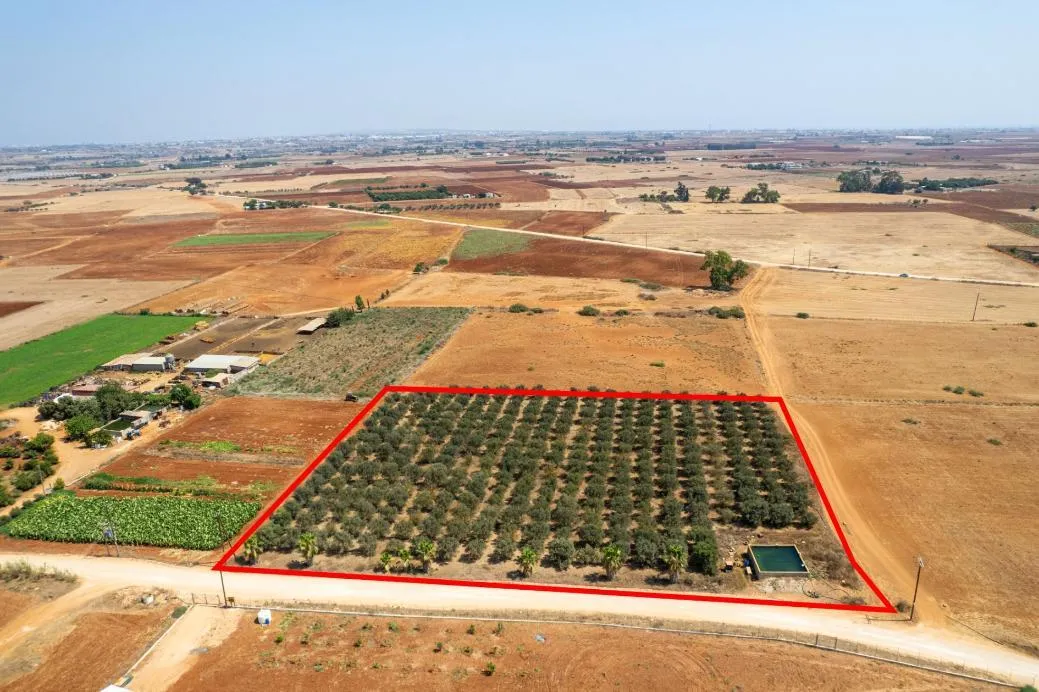 Land in Famagusta № 207641 1