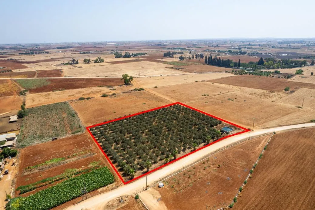 Land in Famagusta № 207641 2