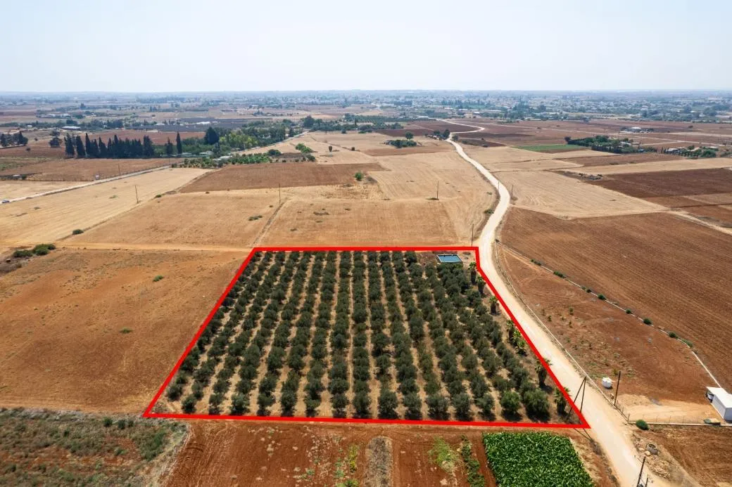 Land in Famagusta № 207641 3