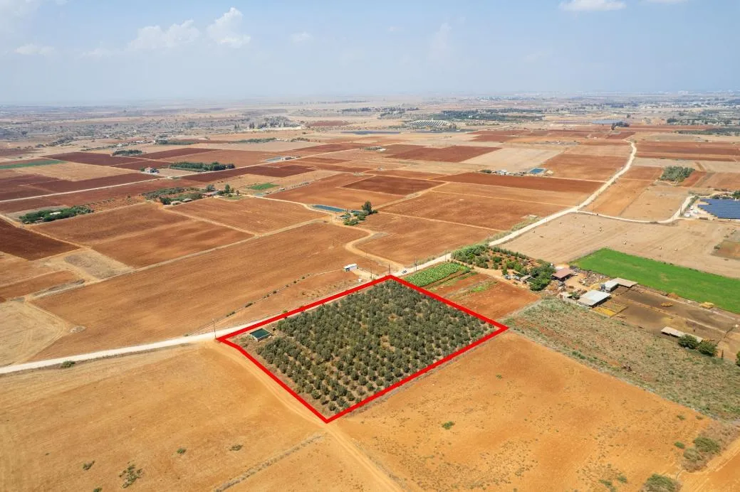 Land in Famagusta № 207641 4