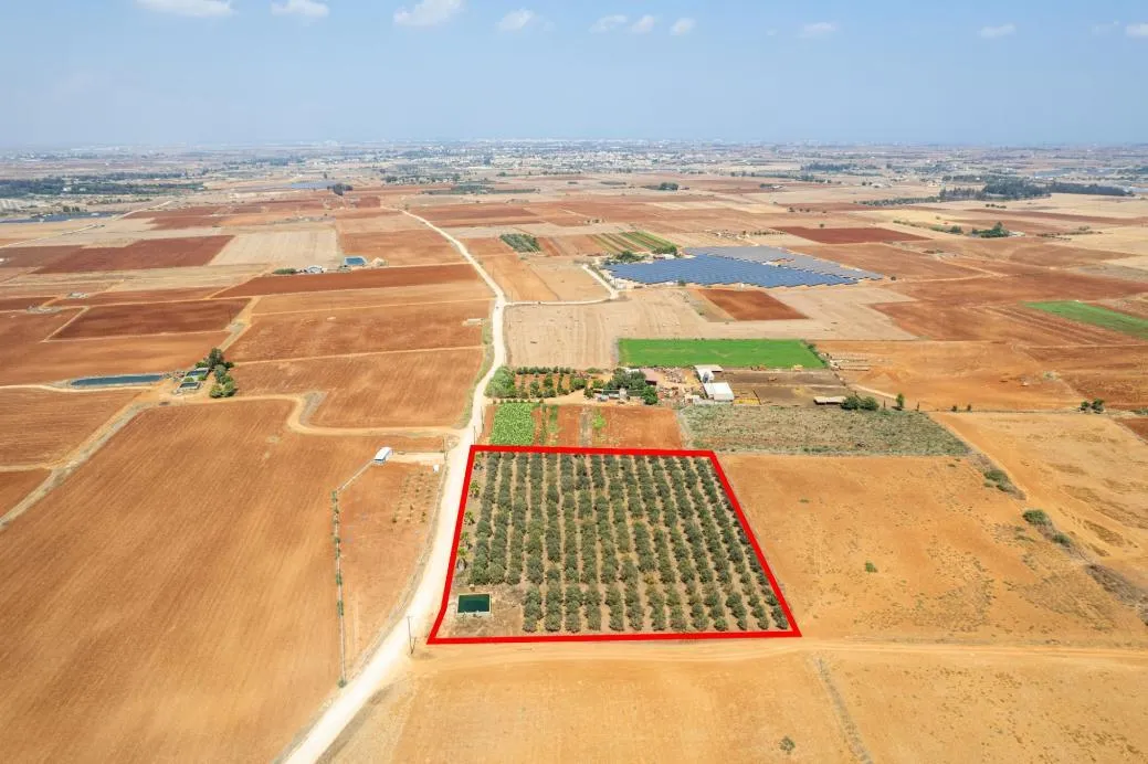 Land in Famagusta № 207641 5