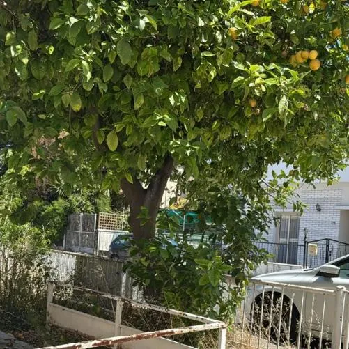 Land in Larnaca № 208514 3