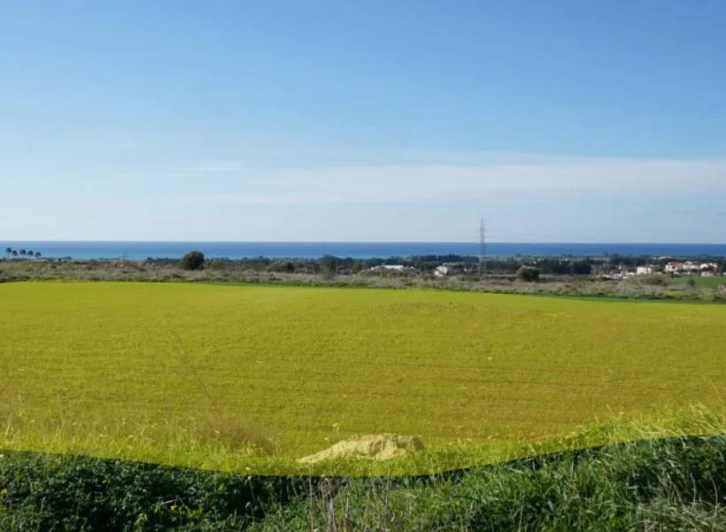 Land in Paphos № 208647 1