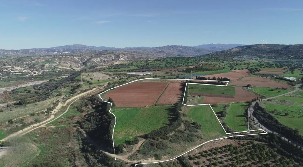 Land in Paphos № 208665 3