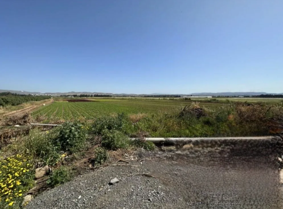 Land in Paphos № 210971 2