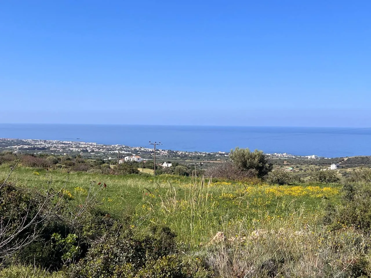 Land in Paphos № 213384 1