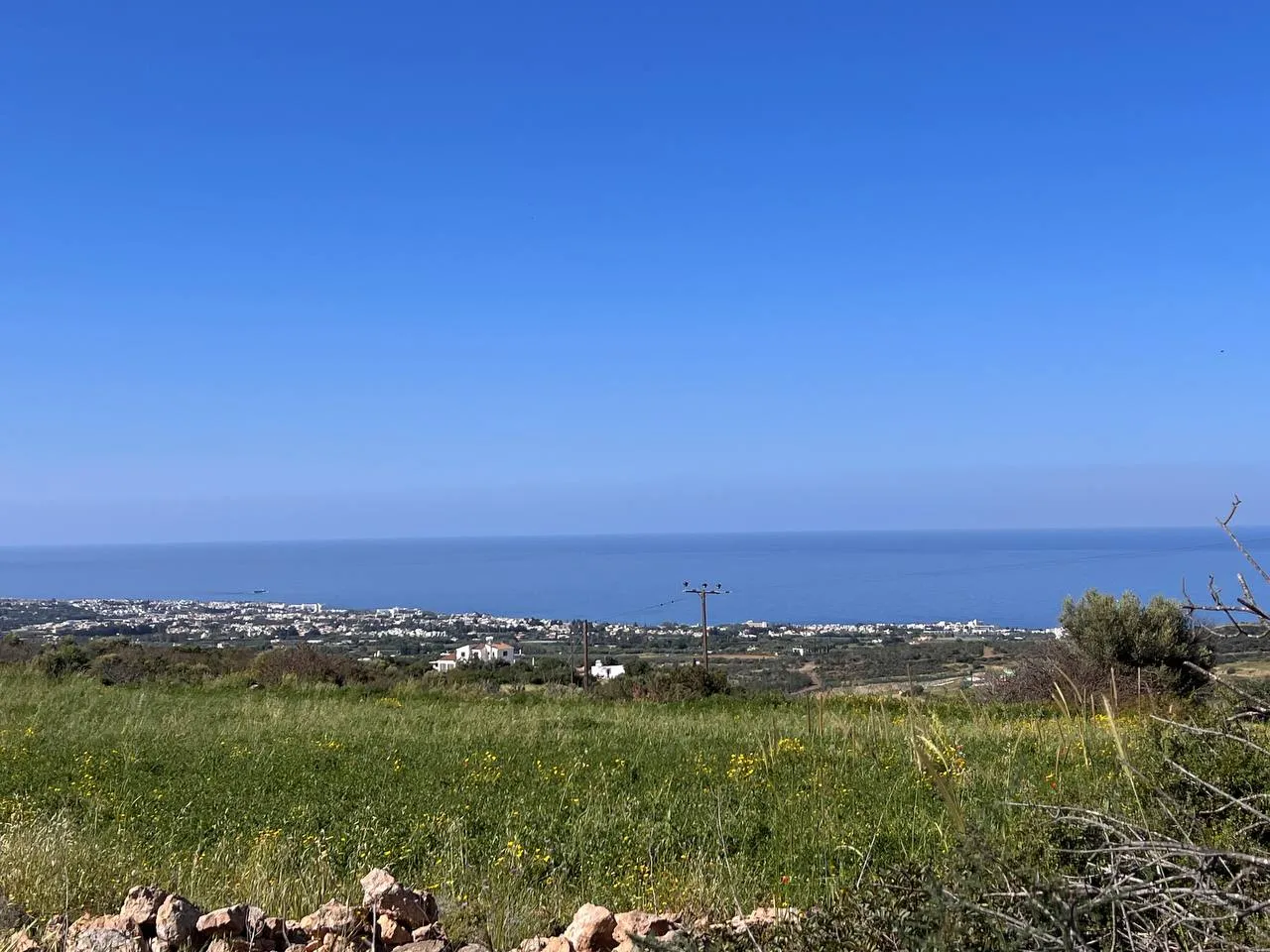 Land in Paphos № 213384 2