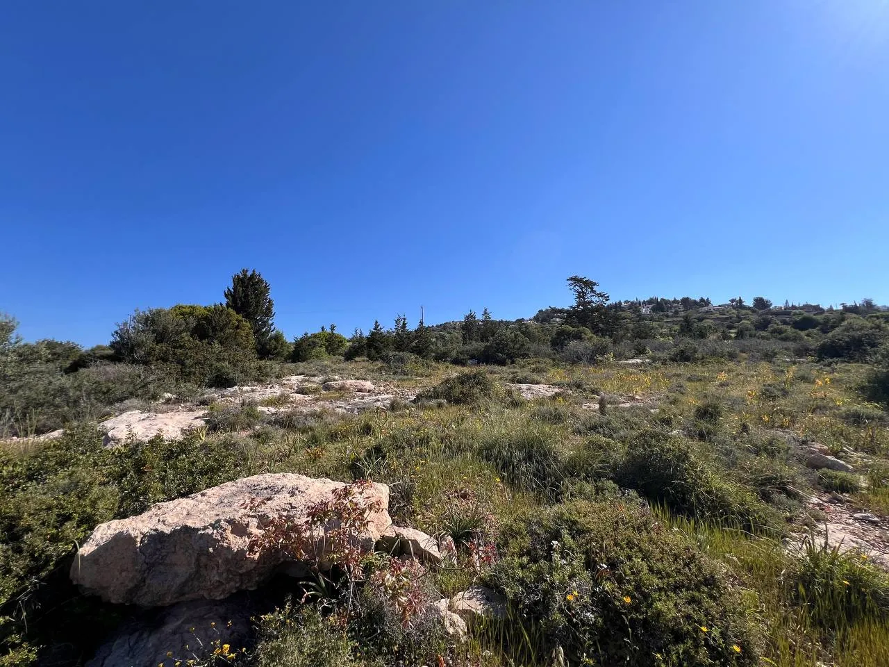 Land in Paphos № 213384 3