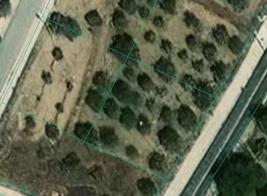 Land in Nicosia № 214512 1