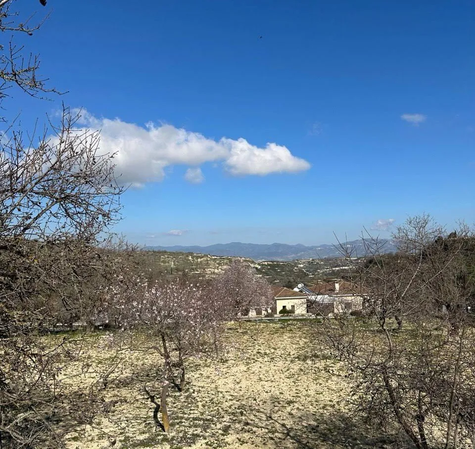 Land in Paphos № 217259 1