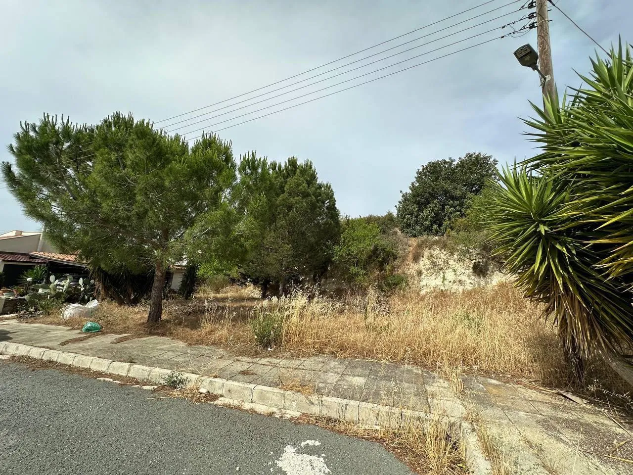 Land in Paphos № 217259 2