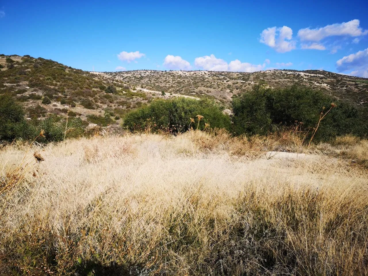 Land in Limassol № 218131 2