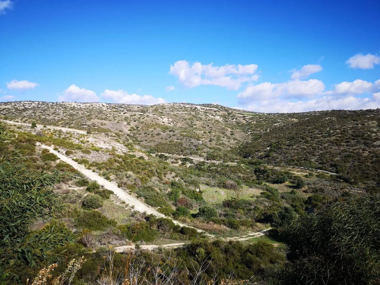 Land in Limassol № 218131 3