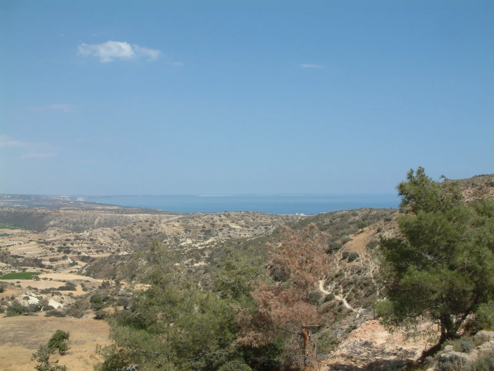 Land in Limassol № 219536 3