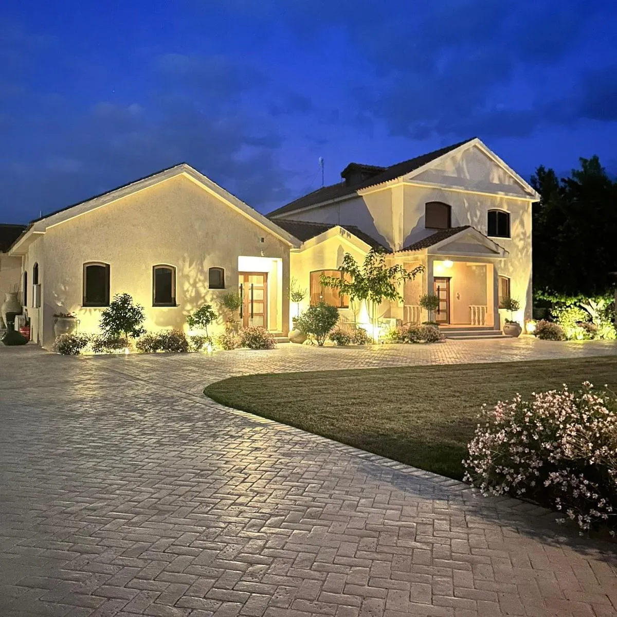 Hotel in Larnaca № 225227 1