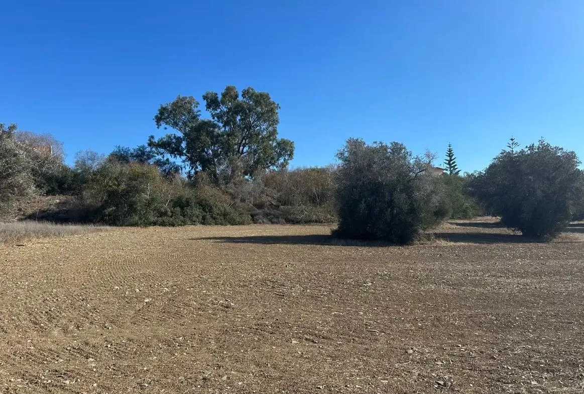Land in Larnaca № 230138 1