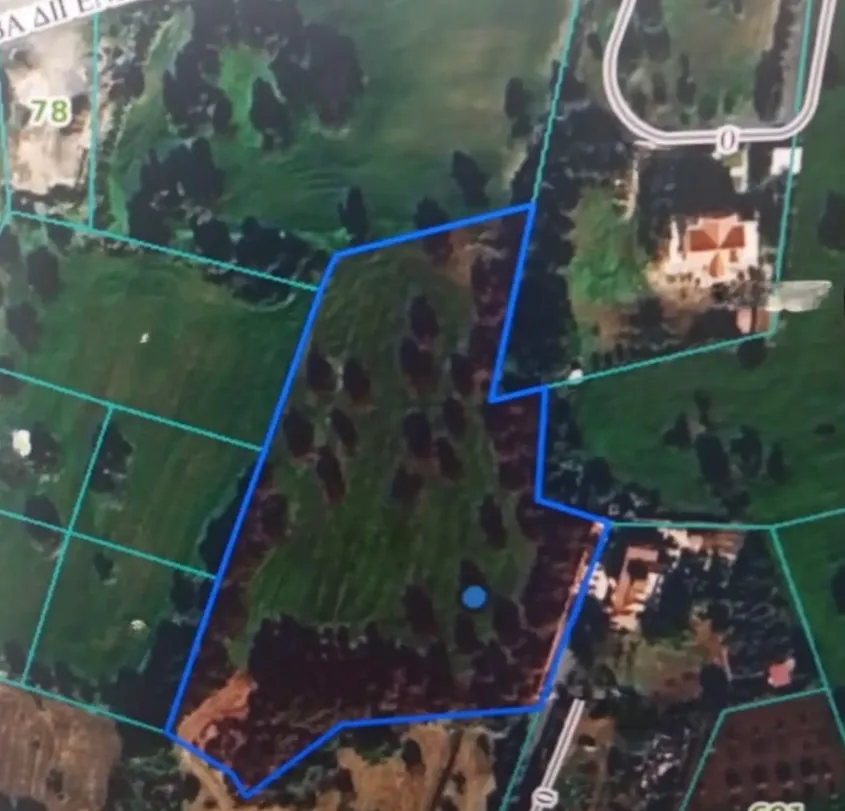 Land in Larnaca № 230138 4