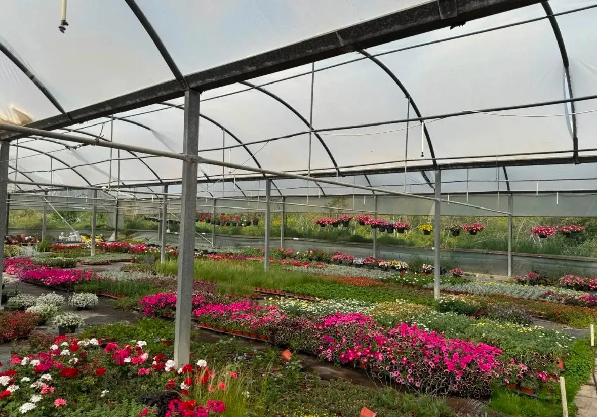 Land in Larnaca № 230415 1