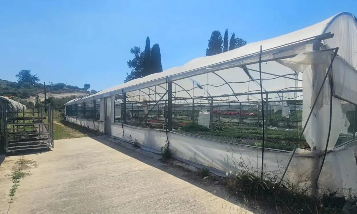 Land in Larnaca № 230415 2