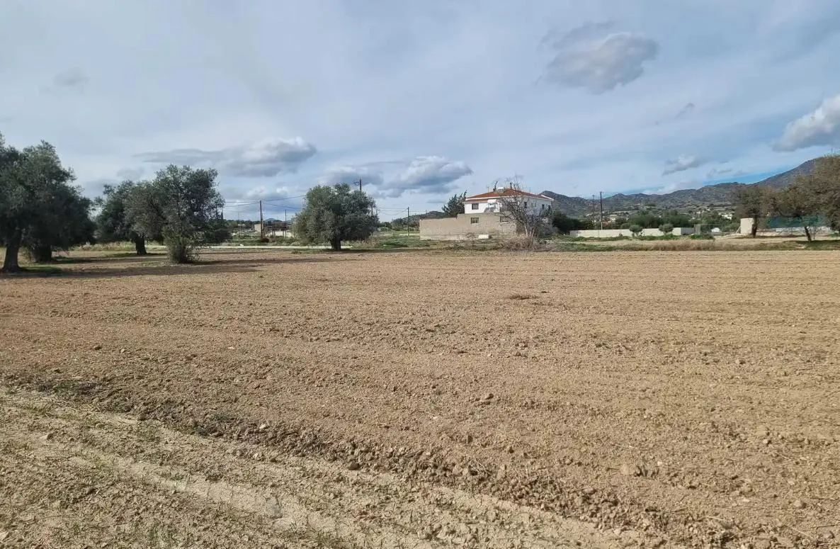 Land in Larnaca № 230777 1