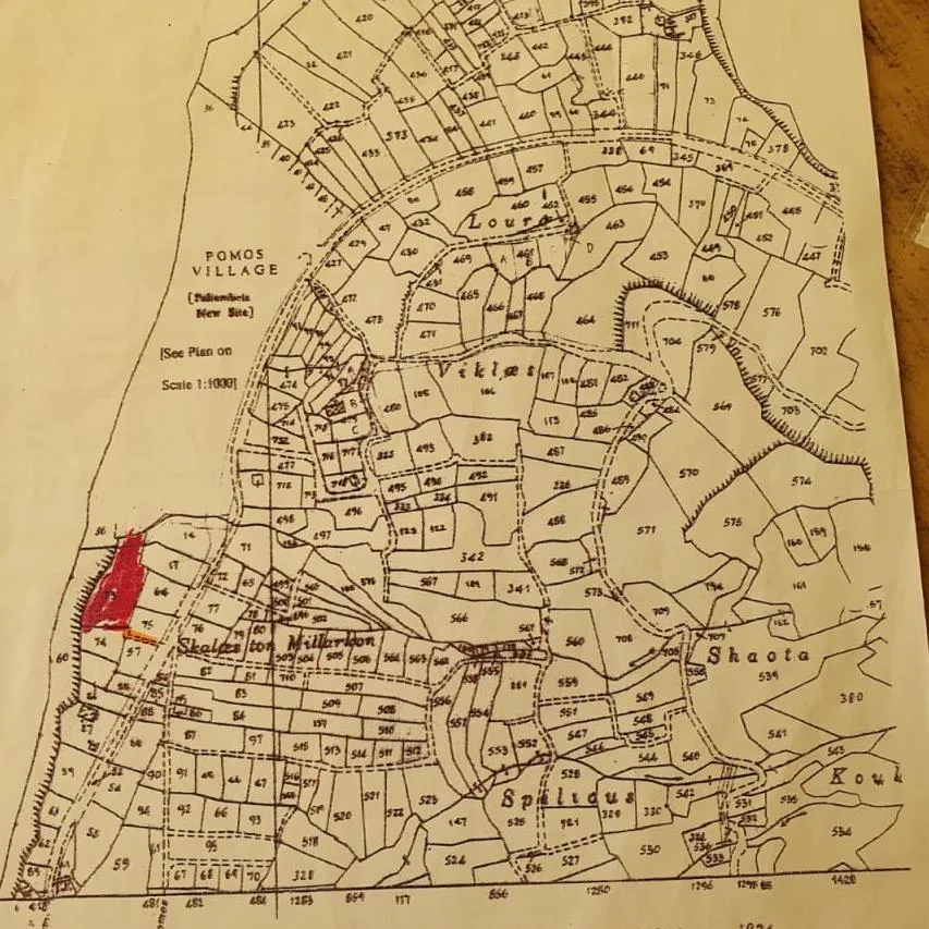 Land in Paphos № 230788 3