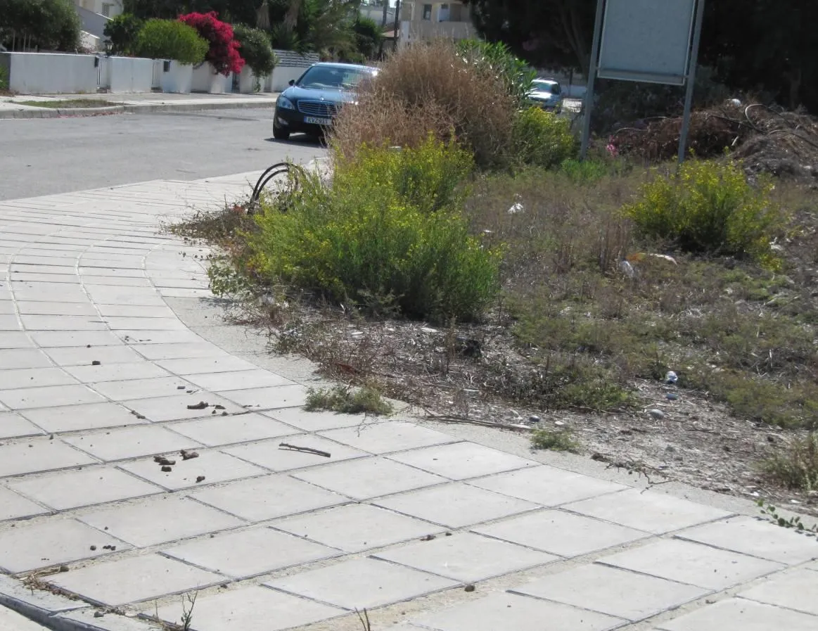 Land in Larnaca № 231401 4