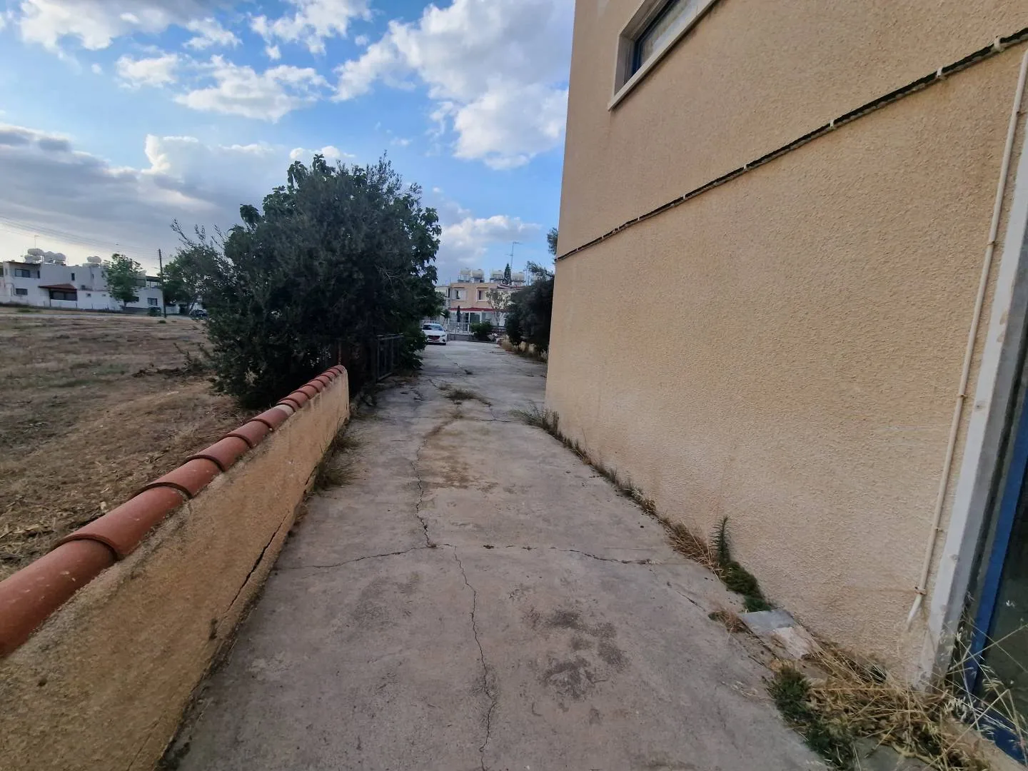 Business in Larnaca № 232902 14