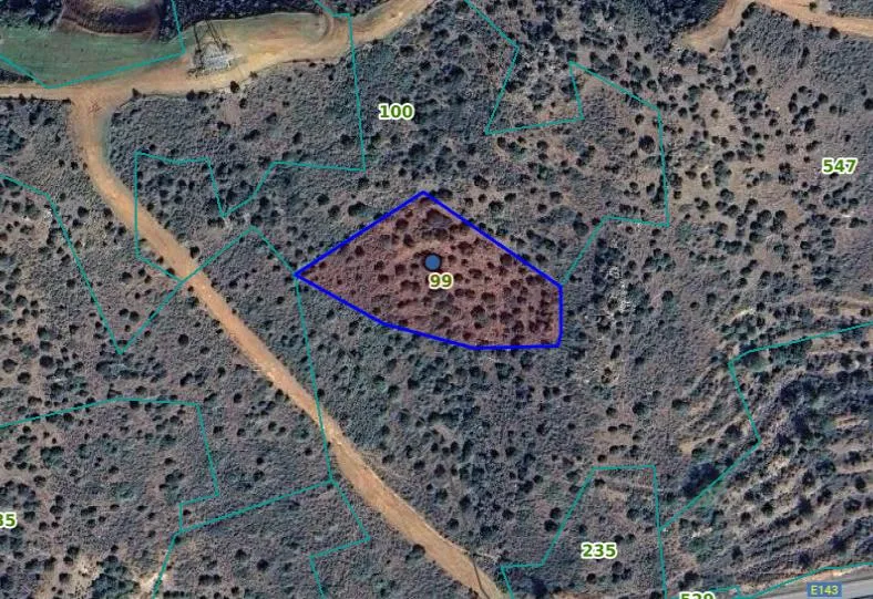 Land in Larnaca № 233150 1