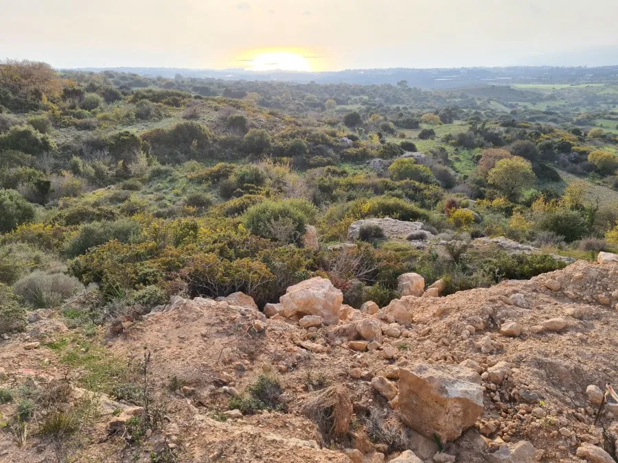 Land in Paphos № 235499 3