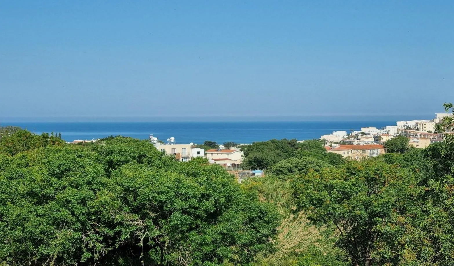 Land in Paphos № 235511 3