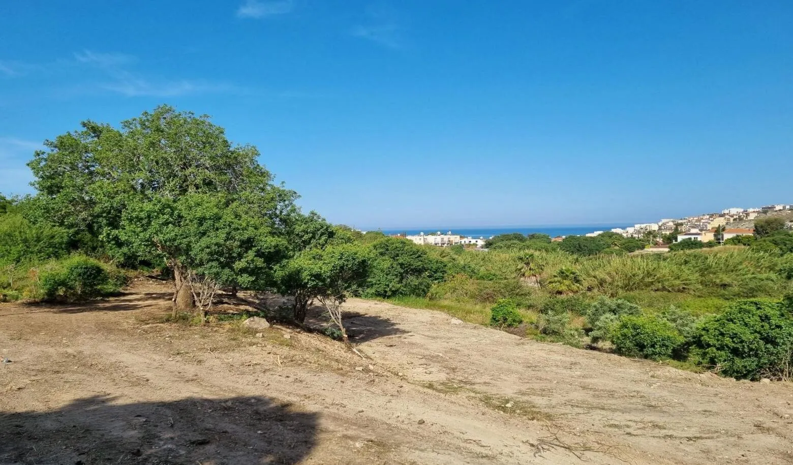 Land in Paphos № 235511 4