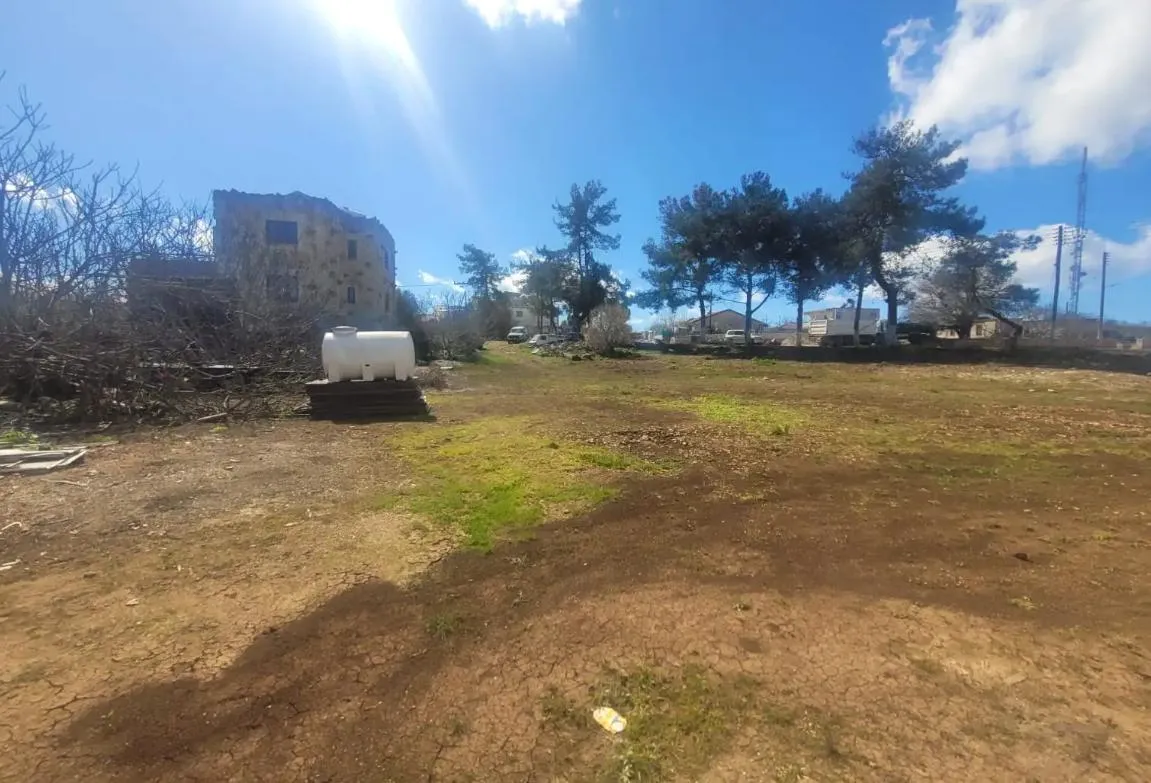 Land in Paphos № 235511 6