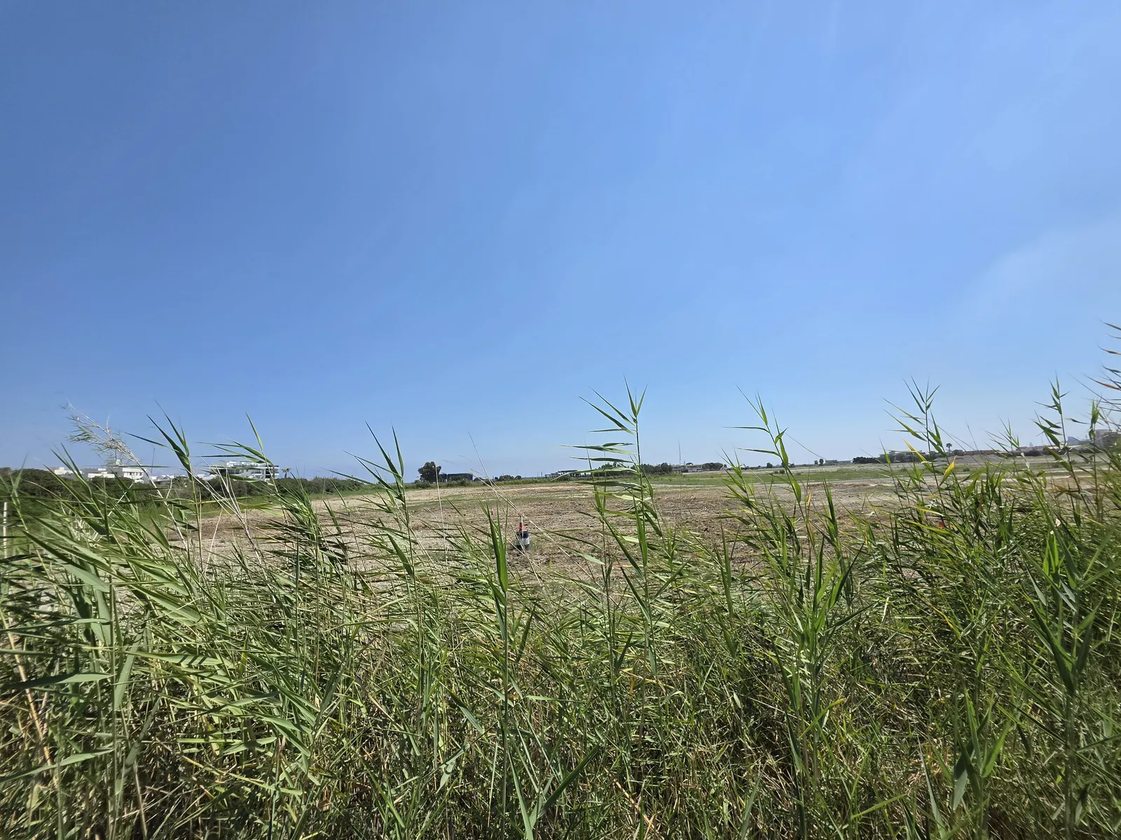 Land in Larnaca № 235524 1