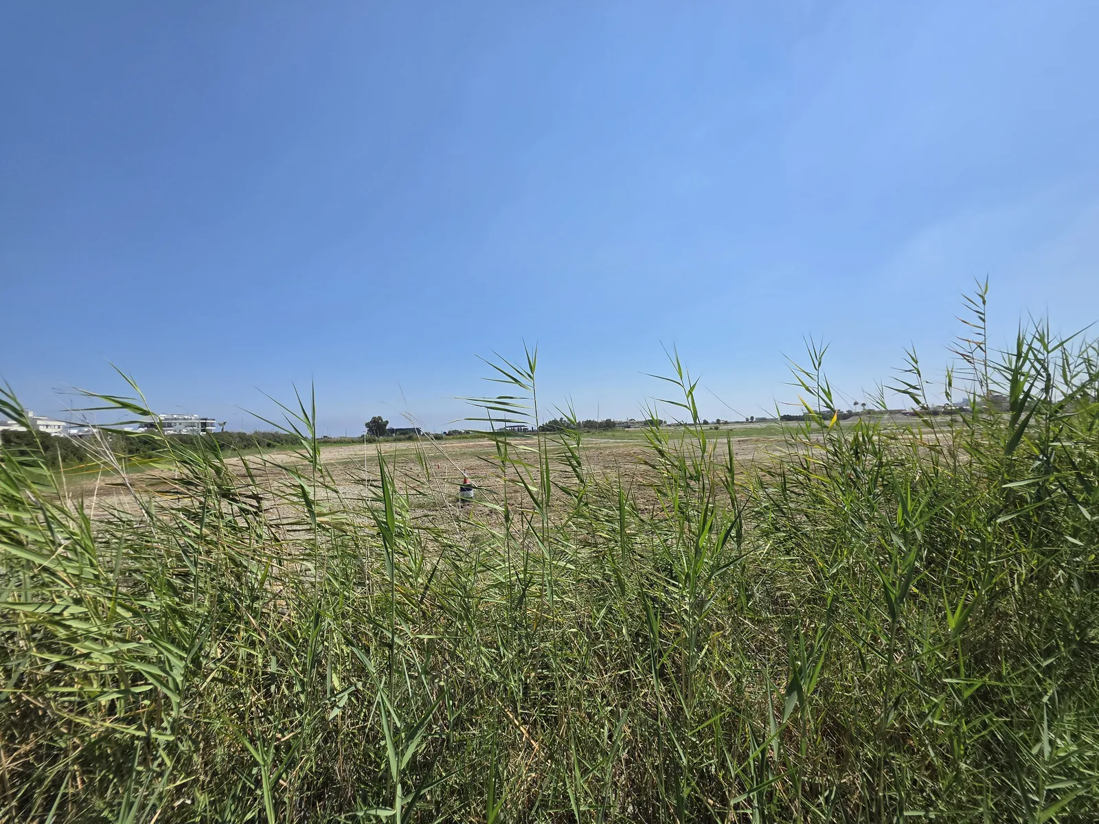 Land in Larnaca № 235524 4