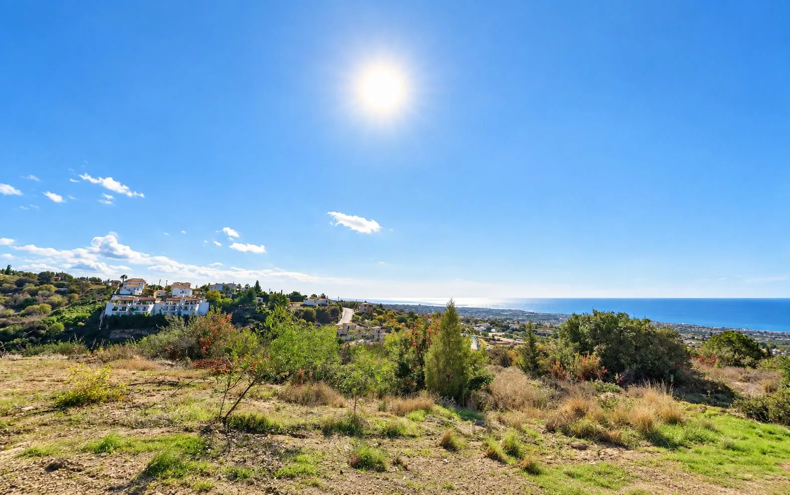 Land in Paphos № 237335 1