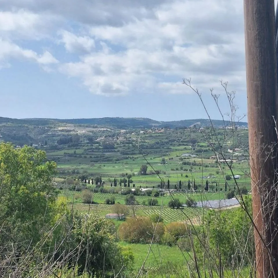 Land in Paphos № 237763 2