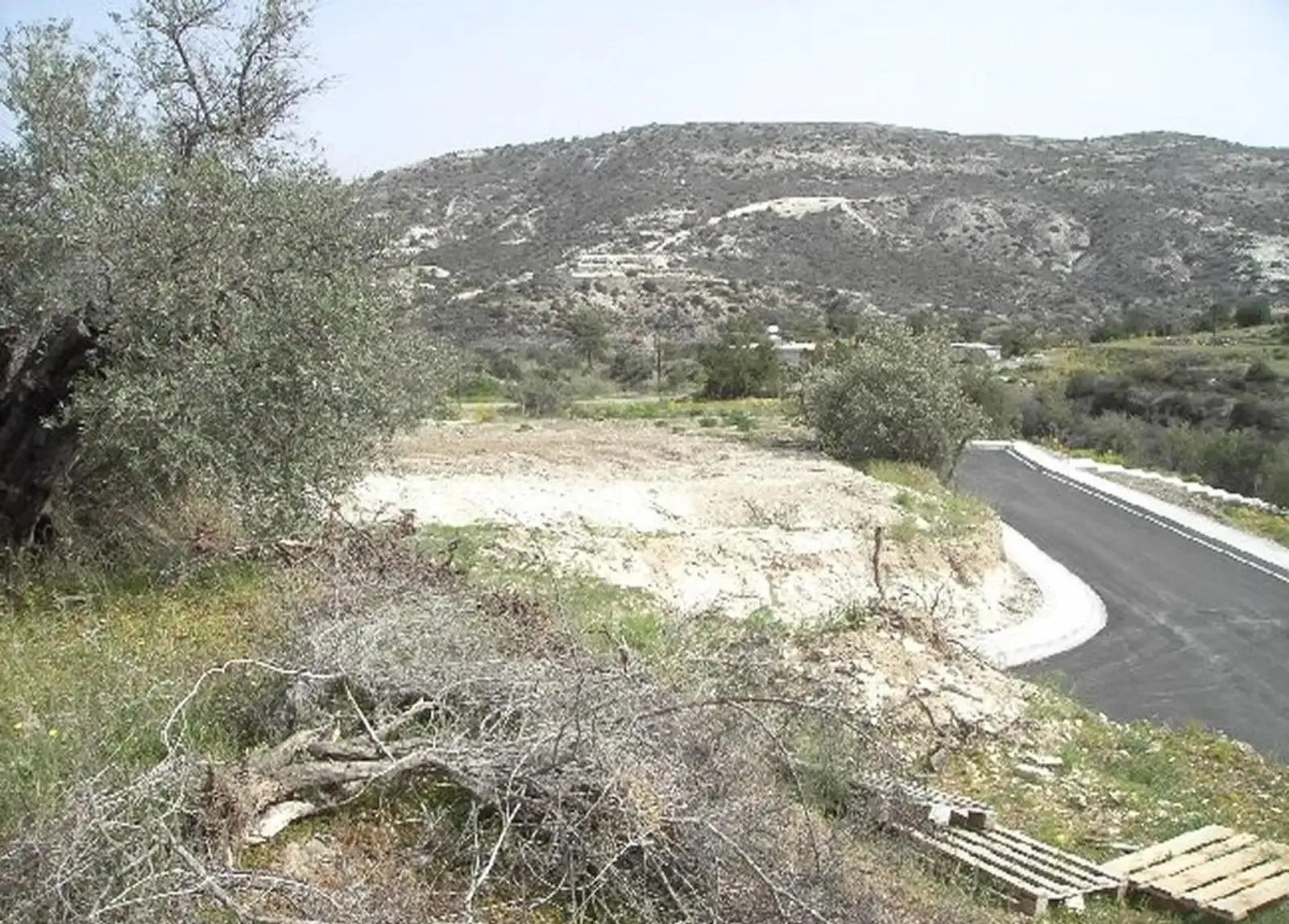 Land in Limassol № 238128 3
