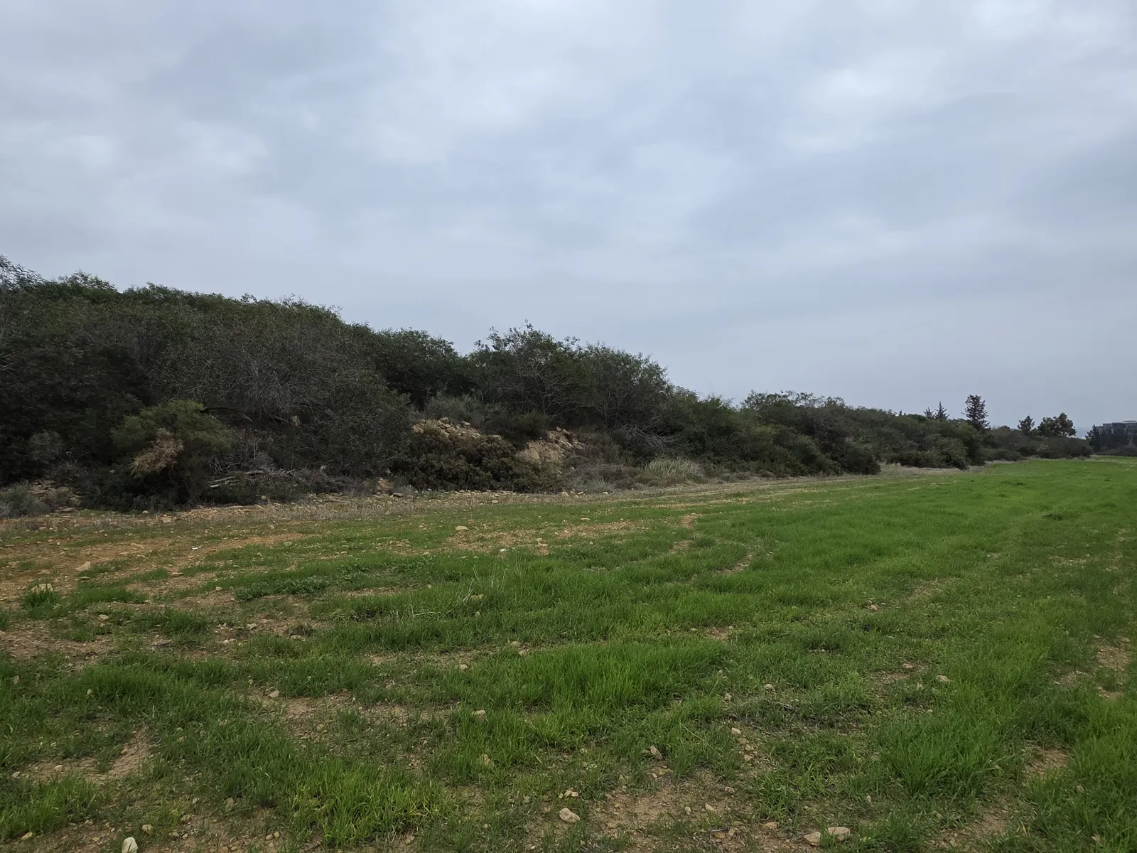 Land in Limassol № 239150 3