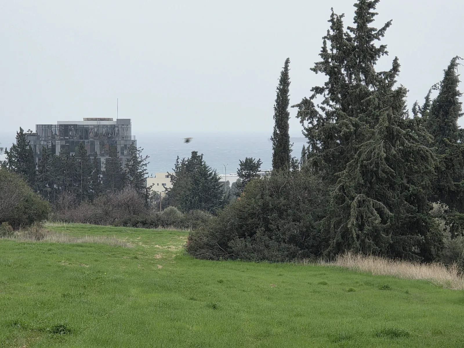 Land in Limassol № 239150 4