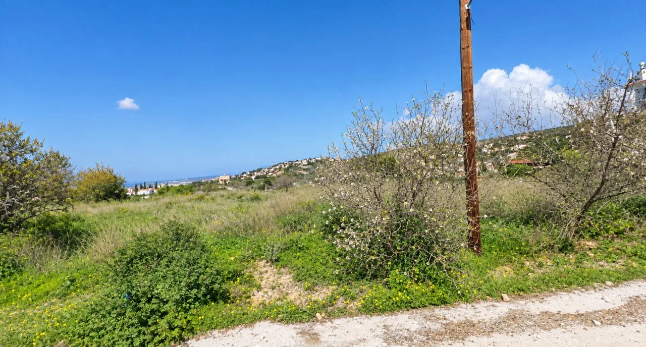 Land in Paphos № 239351 3