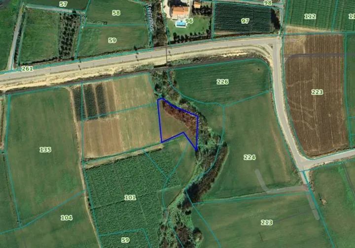 Land in Larnaca № 239499 3