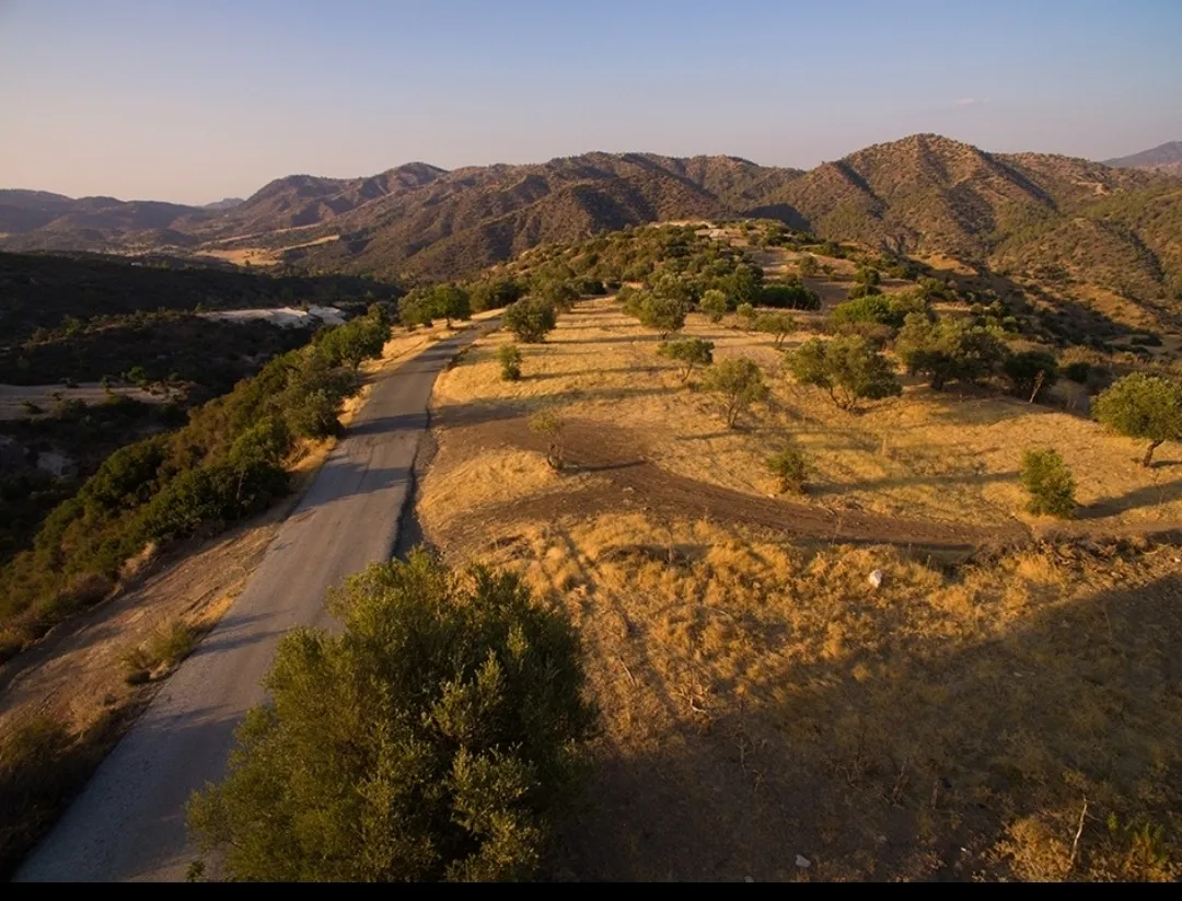 Land in Limassol № 239507 2