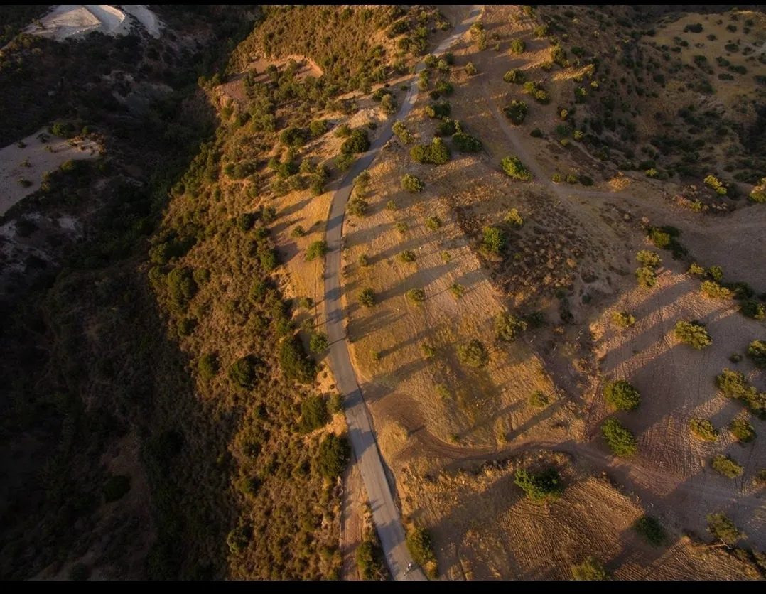 Land in Limassol № 239507 3