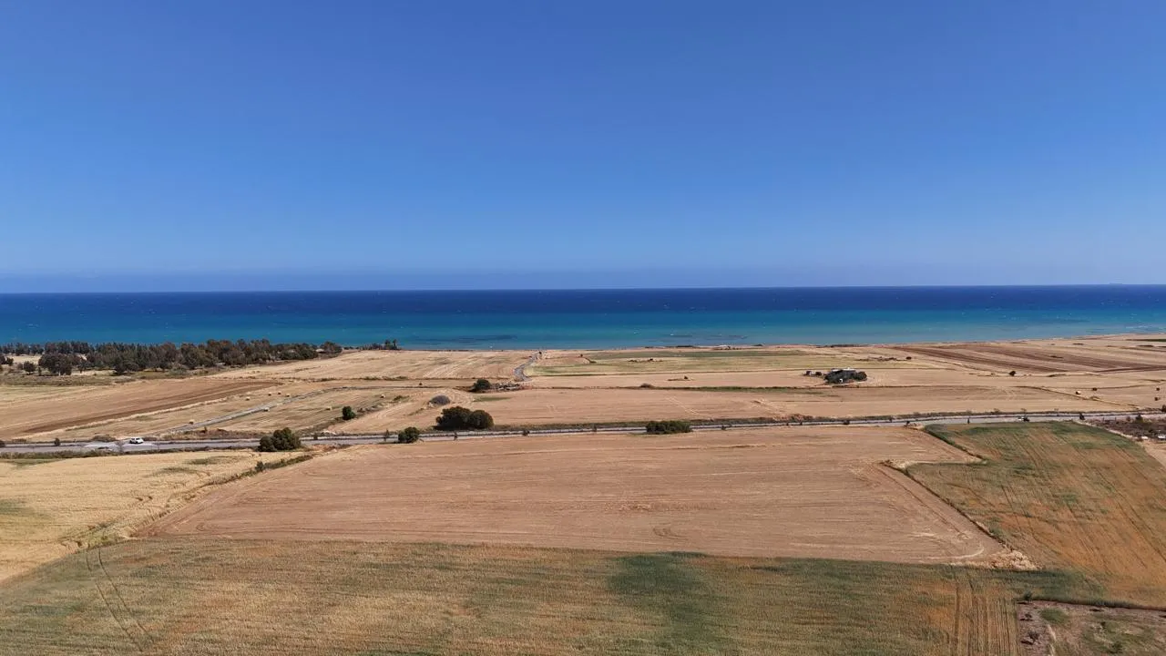 New 4-bedroom house in Larnaca № 239508 12