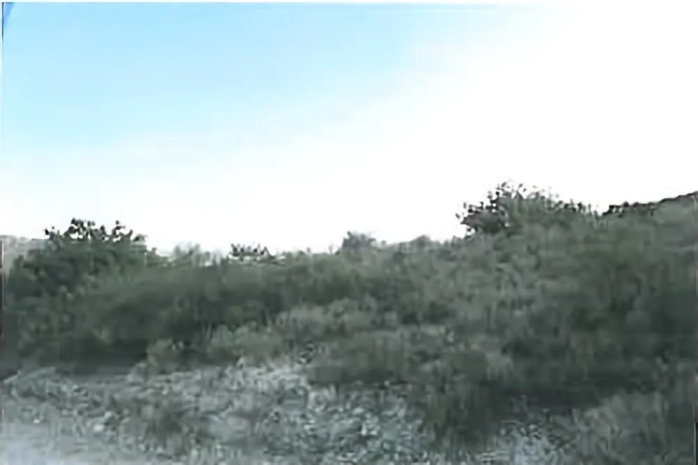 Land in Limassol № 240037 4